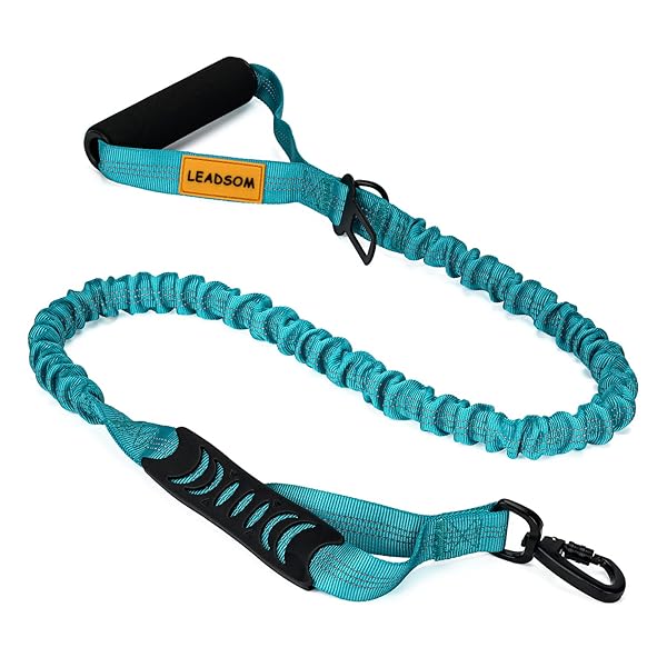 LEADSOM LEADSOM 6FT Reflective Heavy Duty Elastic Dog Leash with Padded Handle for Medium and Large Dogs Ideal for Training and Comfort
