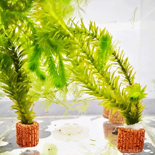 balacoo Balacoo Water Aquarium Media Plant Fixed Cup 10pcs Durable Reusable Lightweight Fixed Ring Pottery for Turtle Tank - View 4 of 11