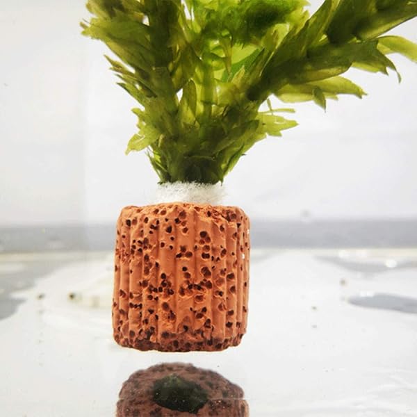 balacoo Balacoo Water Aquarium Media Plant Fixed Cup 10pcs Durable Reusable Lightweight Fixed Ring Pottery for Turtle Tank - View 10 of 11