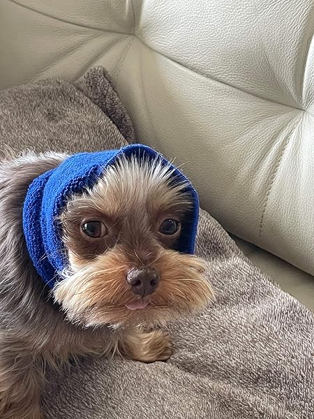 Over The Moon Pet Products Pet Hoodz PHSB Small Blue Pet Hoodies for Dogs and Cats Comfortable Stylish Warm Apparel - View 5 of 10