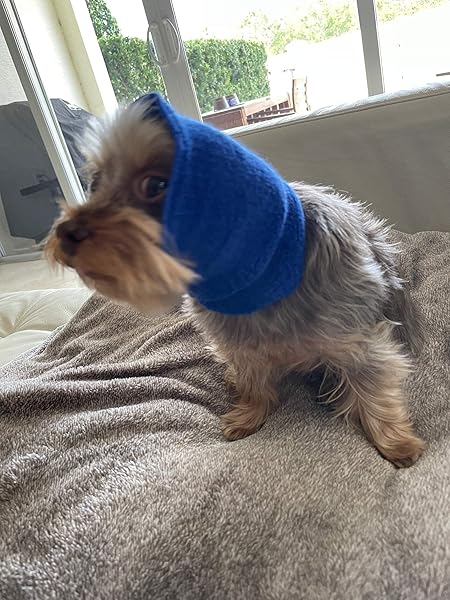 Over The Moon Pet Products Pet Hoodz PHSB Small Blue Pet Hoodies for Dogs and Cats Comfortable Stylish Warm Apparel - View 6 of 10