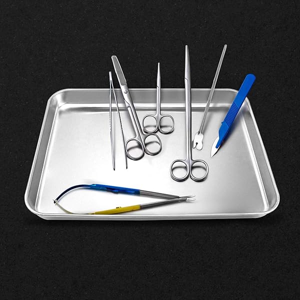 QWORK QWORK Stainless Steel Surgical Tray for Medical Instruments Tattoo Supplies 10 5/8 x 6 11/16 x 1 Flat Bottom Tray - View 4 of 9