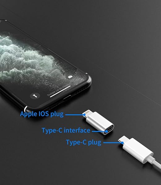 zoyuzan 4-Pack USB C to Lightning Adapter for iPhone 12/11 Pro Max, iPad Air - Fast Charging & Data Transfer - View 4 of 9