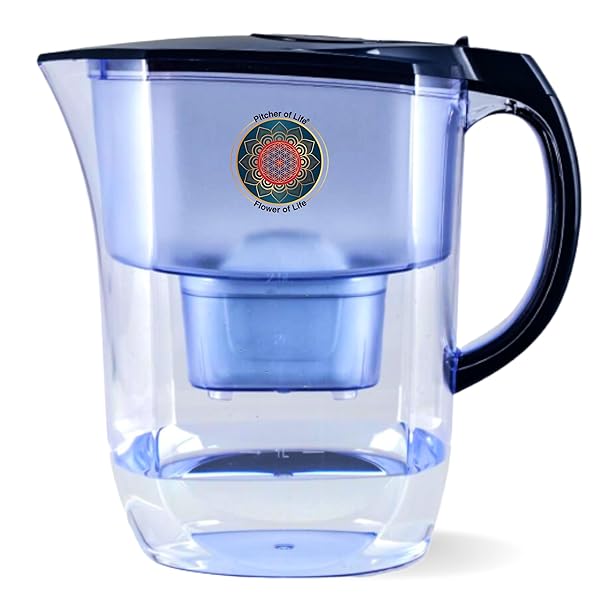 Life Ionizer Life Ionizer 3.8L Alkaline Water Pitcher: BPA-Free, Eco-Friendly, 6-Stage Filter for Pure Hydration