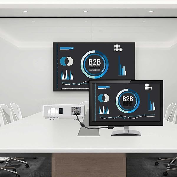 SAISN SAISN VGA to VGA Video Cable 15 Pin Male to Male Full HD 1080P High Resolution Black Cord for TV Computer Projector 3 Feet - View 6 of 8