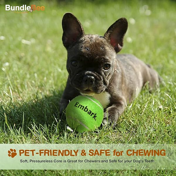 Petite Paws BundleBee Squeaky Mini Tennis Balls for Small Dogs 1.5 Inch 6 Pack Interactive Fetch Dog Toys for Training and Positive Reinforcement - View 7 of 10