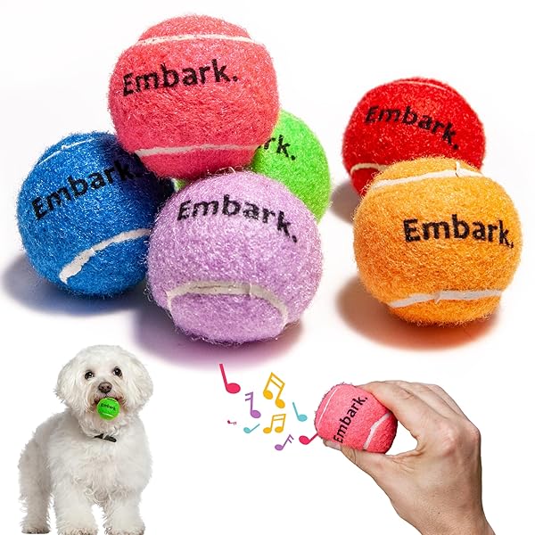 Petite Paws BundleBee Squeaky Mini Tennis Balls for Small Dogs 1.5 Inch 6 Pack Interactive Fetch Dog Toys for Training and Positive Reinforcement