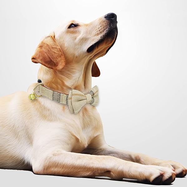 KUDES KUDES Adjustable Dog Collars with Bow Tie and Bells for Small Medium Large Pets Beige Brown 2 Pack Set - View 4 of 9