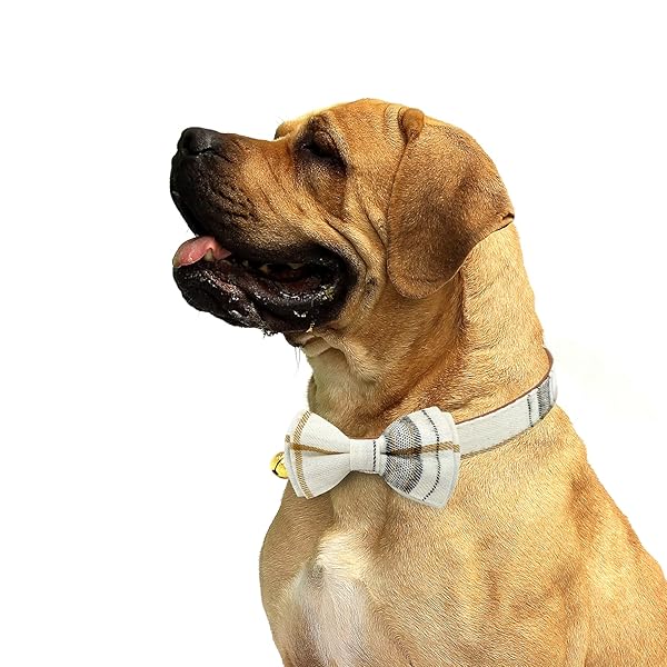 KUDES KUDES Adjustable Dog Collars with Bow Tie and Bells for Small Medium Large Pets Beige Brown 2 Pack Set - View 6 of 9