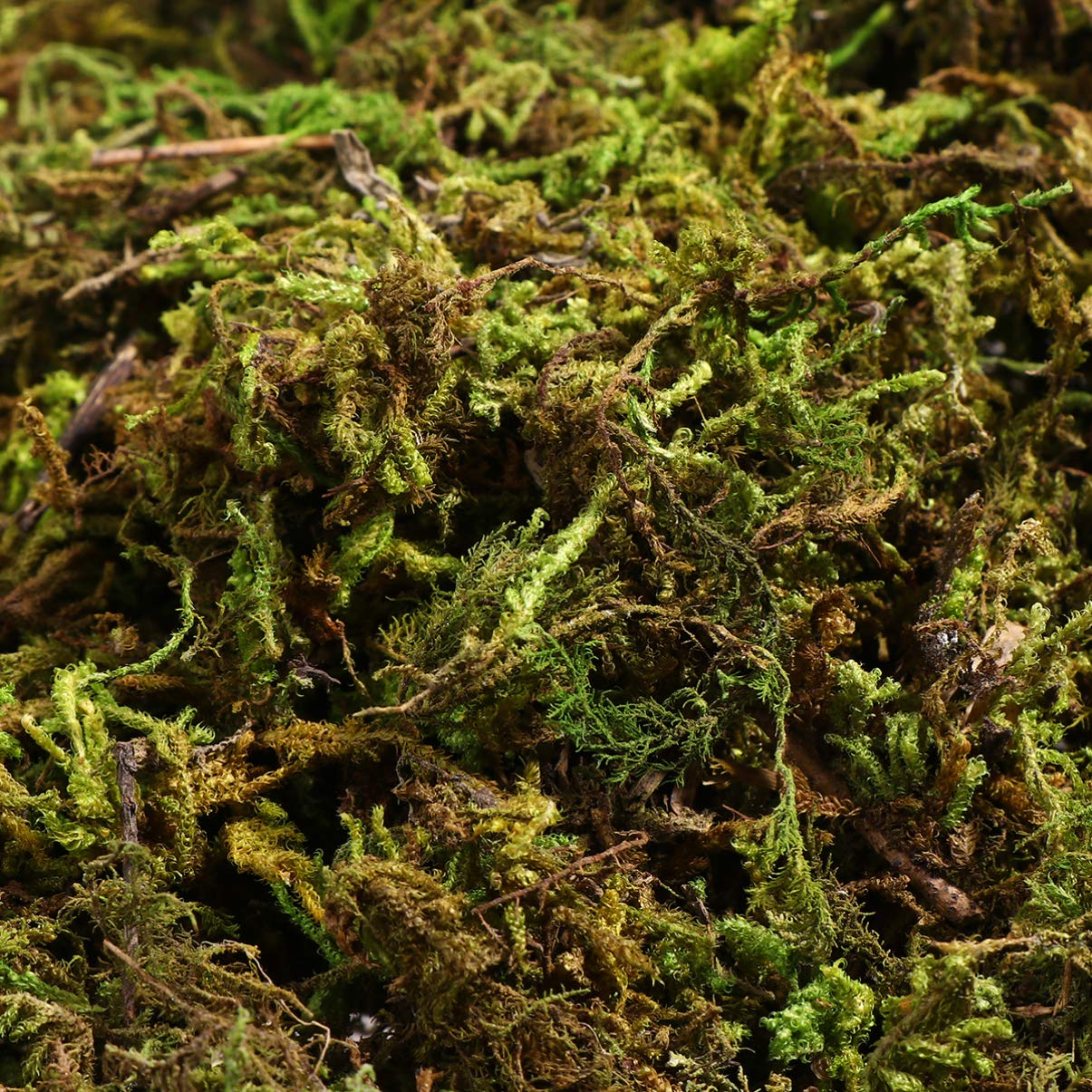 VOSAREA VOSAREA 1 Pack Artificial Moss Fake Lichen Simulation Green Faux Pot Moss for DIY Miniature House (About 60g) - View 2 of 8