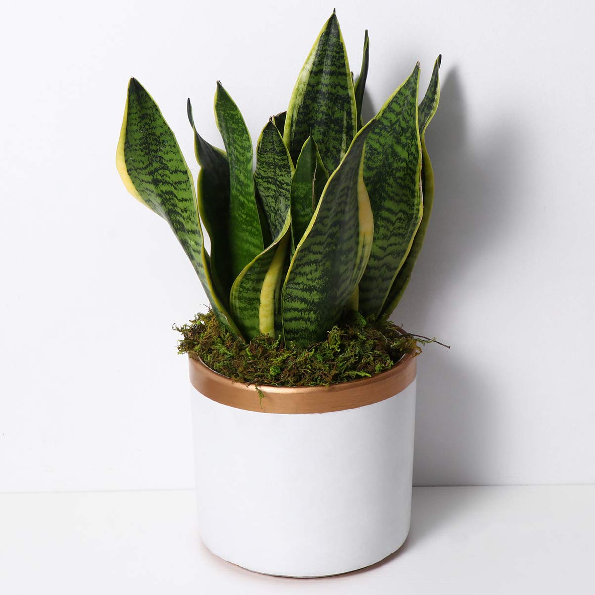 VOSAREA VOSAREA 1 Pack Artificial Moss Fake Lichen Simulation Green Faux Pot Moss for DIY Miniature House (About 60g) - View 6 of 8