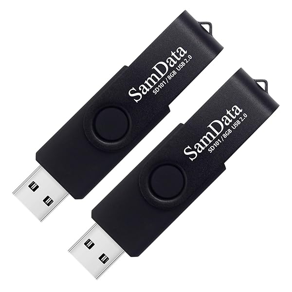 SamData SamData 8GB USB Flash Drives 2 Pack Thumb Drives with LED Light for Storage and Backup Black