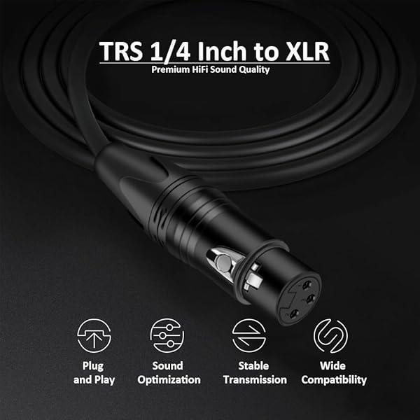 DREMAKE DREMAKE 40FT 1/4 Inch to XLR Female Balanced Audio Cable for Microphone Mixer Guitar AMP Speakers Black - View 3 of 6