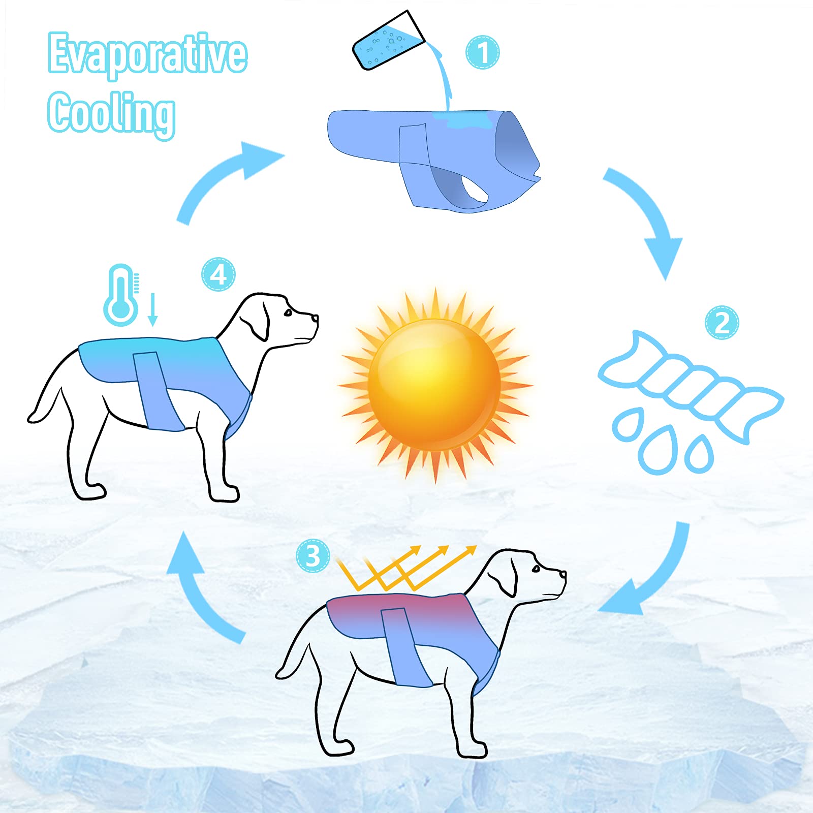 POPETPOP POPETPOP Dog Cooling Vest, Lightweight Cooler Jacket, Pet Vest Harness for for Small Medium Dogs(Size) - View 6 of 7