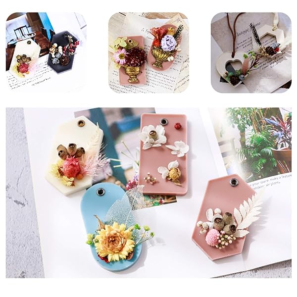 QUALLON 3 Packs Real Natural Dried Flowers for DIY Crafts Mobile Phone Cases Jewelry and Candle Making Mixed Multi-Color Accessories - View 4 of 8