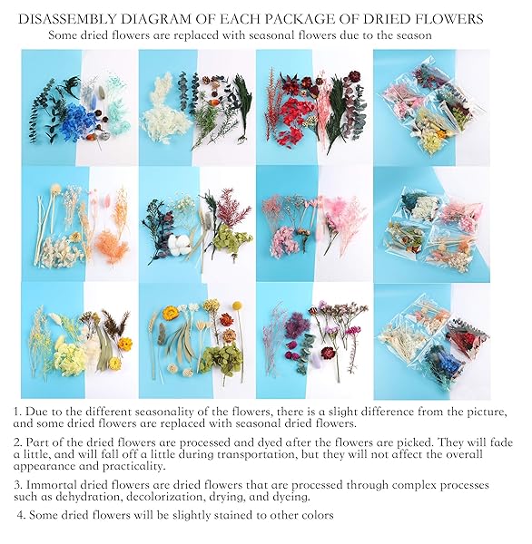 QUALLON 3 Packs Real Natural Dried Flowers for DIY Crafts Mobile Phone Cases Jewelry and Candle Making Mixed Multi-Color Accessories - View 8 of 8