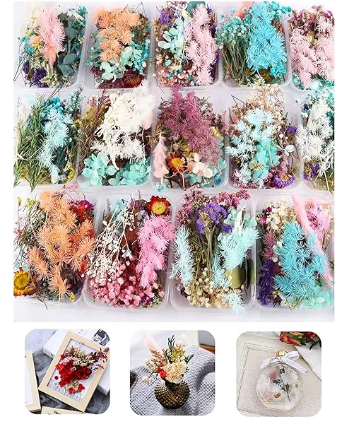 QUALLON 3 Packs Real Natural Dried Flowers for DIY Crafts Mobile Phone Cases Jewelry and Candle Making Mixed Multi-Color Accessories