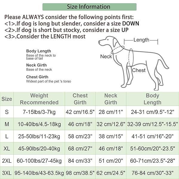 ETIAL Red L Dog Recovery Suit After Surgery Cone Alternative for Male and Female Dogs Comfortable and Effective Healing Solution - View 3 of 7