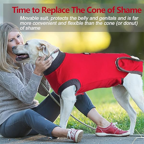ETIAL Red L Dog Recovery Suit After Surgery Cone Alternative for Male and Female Dogs Comfortable and Effective Healing Solution - View 4 of 7