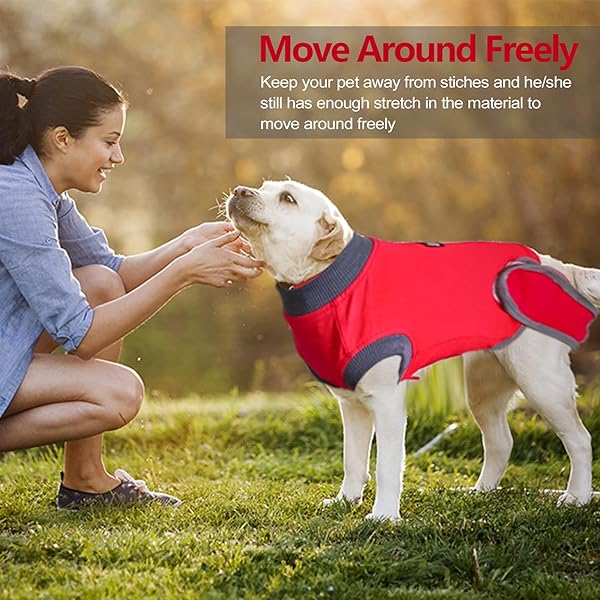 ETIAL Red L Dog Recovery Suit After Surgery Cone Alternative for Male and Female Dogs Comfortable and Effective Healing Solution - View 5 of 7