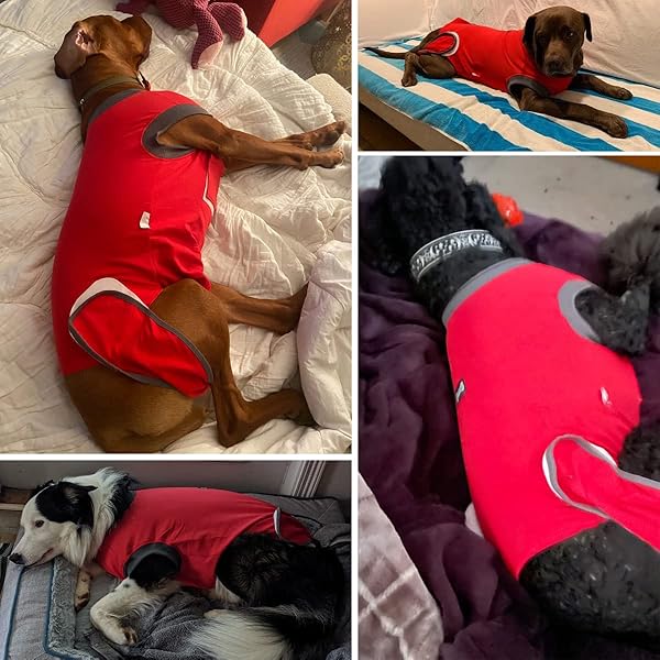 ETIAL Red L Dog Recovery Suit After Surgery Cone Alternative for Male and Female Dogs Comfortable and Effective Healing Solution - View 6 of 7
