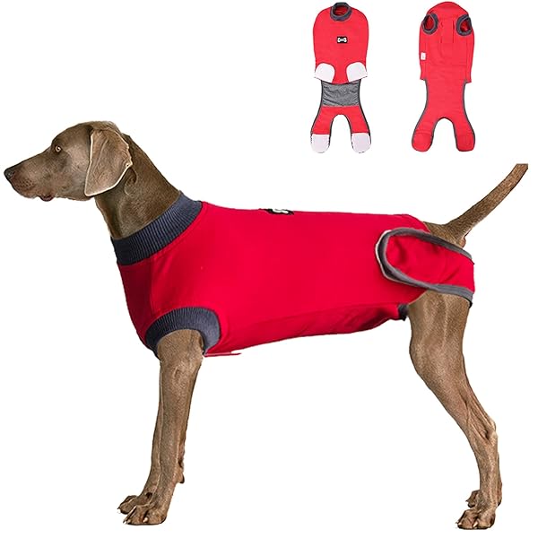 ETIAL Red L Dog Recovery Suit After Surgery Cone Alternative for Male and Female Dogs Comfortable and Effective Healing Solution - View 2 of 7