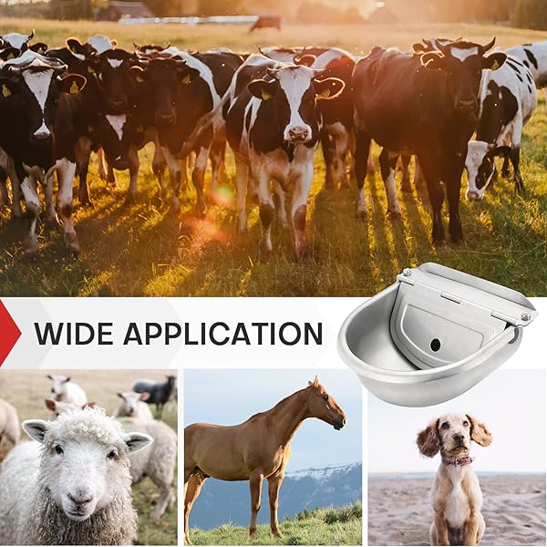 MAOPINER MAOPINER Automatic Water Dispenser for Dogs and Livestock Stainless Steel Waterer with Drainage Hole for Horses Cattle Goats and Sheep - View 7 of 7