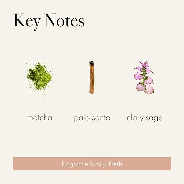 LAFCO New York LAFCO New York Retreat Reed Diffuser 15 oz Long Lasting Fragrance Reusable Hand Blown Glass Vessel Natural Wood Reeds Made in USA - View 4 of 7