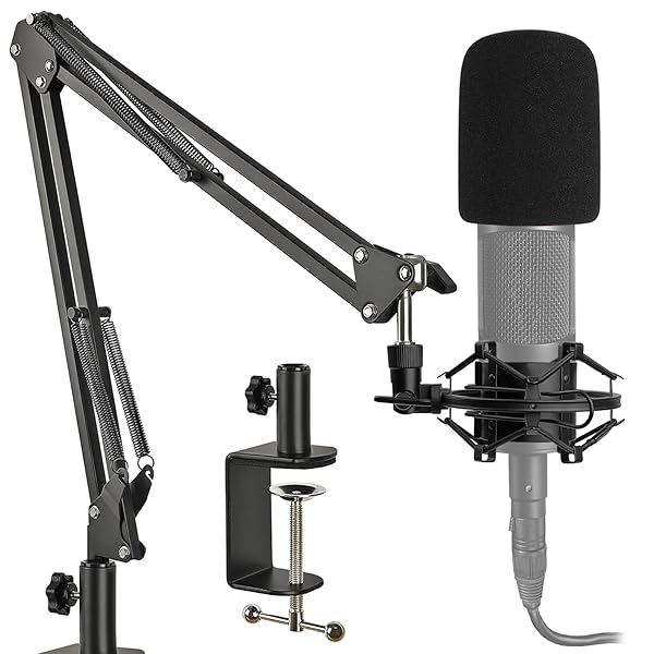 Frgyee AT2020 Mic Stand with Shock Mount & Pop Filter - Heavy Duty Boom Arm for Audio Technica AT2020/AT2035 - View 2 of 8