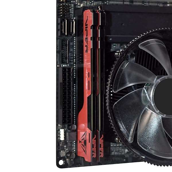 Patriot Memory Patriot Memory Viper Elite II DDR4 64GB (2x32GB) 3600MHz RAM Kit - High Performance for Gaming & Workstations - View 8 of 9