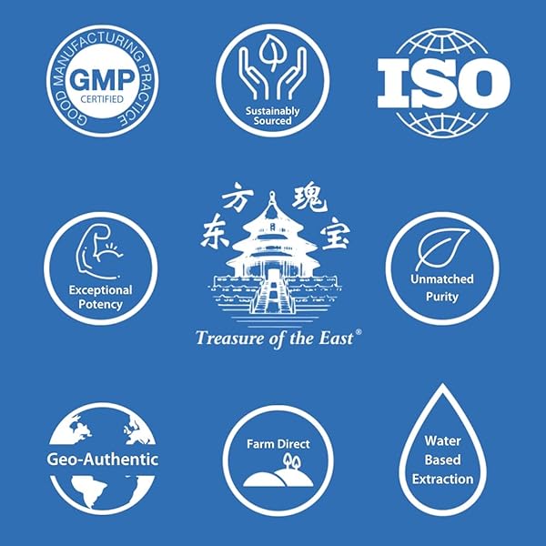 Treasure of the East Treasure of the East Free and Easy Wanderer Plus Jia Wei Xiao Yao San 100g Concentrated Granules for Wellness and Balance - View 5 of 7