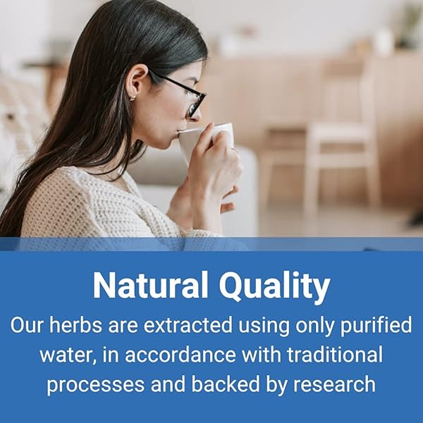 Treasure of the East Treasure of the East Free and Easy Wanderer Plus Jia Wei Xiao Yao San 100g Concentrated Granules for Wellness and Balance - View 6 of 7