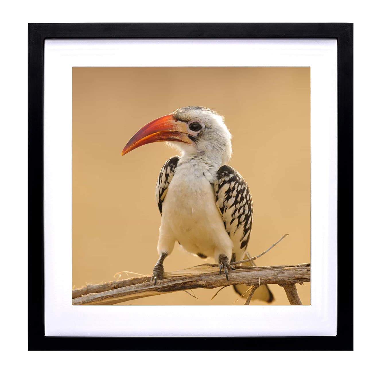 Mxtallup 16x16 Diamond Painting Frames for 14x14 Inch Pictures in Black Wood Display Your Art Beautifully