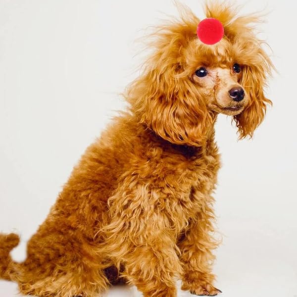 Petunny Petunny Cute Dog Hair Bows 30Pcs Yorkie Colored Ball Design Puppy Grooming Accessories for Halloween Thanksgiving Christmas - View 7 of 9