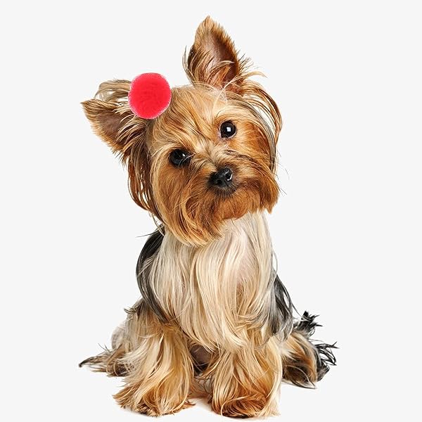 Petunny Petunny Cute Dog Hair Bows 30Pcs Yorkie Colored Ball Design Puppy Grooming Accessories for Halloween Thanksgiving Christmas - View 8 of 9