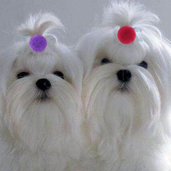 Petunny Petunny Cute Dog Hair Bows 30Pcs Yorkie Colored Ball Design Puppy Grooming Accessories for Halloween Thanksgiving Christmas - View 9 of 9