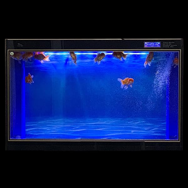 ELEBOX ELEBOX Blue Black Aquarium Background 2 Sides Fish Tank Wallpaper 12x32 Inch Ideal for Stunning Fish Backdrop - View 3 of 9