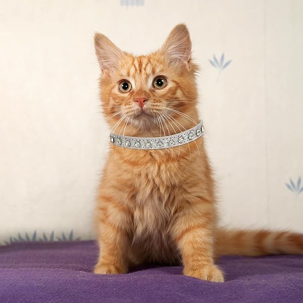 HOWWFALY HOWWFALY Pet Bling Rhinestone Collar for Cats and Dogs Adjustable PU Leather Small Silver - View 7 of 7