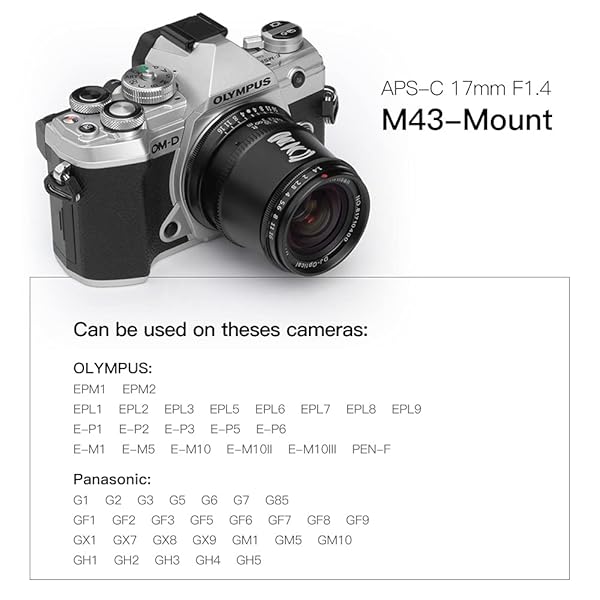 TTARTISAN TTArtisan 17mm F1.4 Manual Focus Lens for M43 Mount Cameras EPM1 EPM2 EPL1 EPL2 EPL3 EPL5 EPL6 EPL7 EPL8 EPL9 E-P1 E-P2 E-P3 E-P5 E-P6 E-M1 E-M10 Pen-F - View 5 of 9