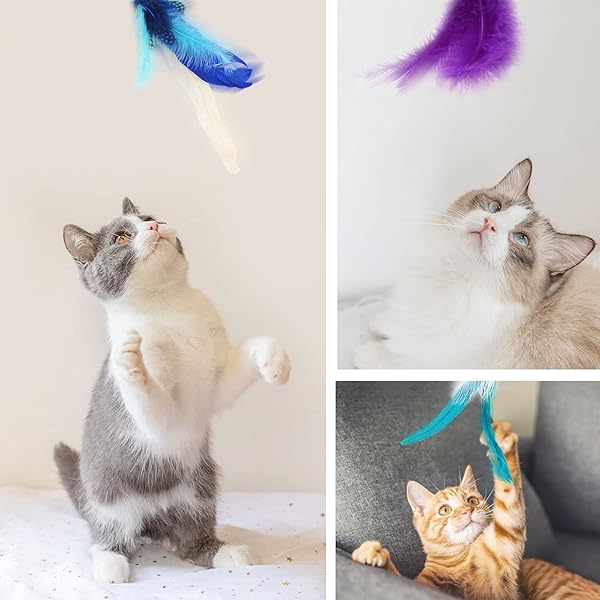 SONGWAY SONGWAY Interactive Cat Feather Toy Set with Retractable Teaser Wand and 6 Feather Refills for Indoor Cats and Kittens Play and Exercise Blue - View 7 of 8