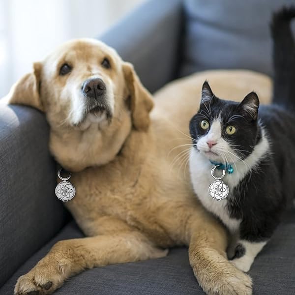 VIIVY VIYIV VIIVY VIYIV Protective Case for AirTag Key Wallet Finder Hollow Out Metal Keychain Cover Compatible with Air Tag Tracker Holder Silver - View 3 of 10