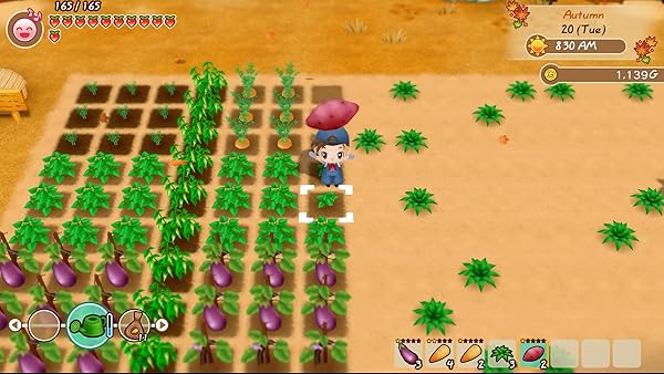 Xseed Games Story of Seasons: Friends of Mineral Town for PS4 - Your Ultimate Farming Adventure Awaits! - View 6 of 11