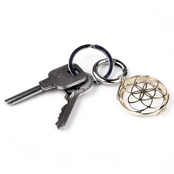 VIIVY VIYIV VIIVY VIYIV Protective Case for Apple AirTag Anti-Scratch Keychain Cover Holder with Key Ring for Women and Girls Car Keys Finder - View 5 of 10