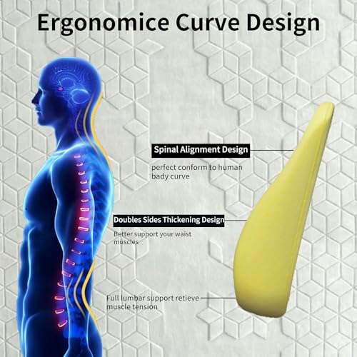 XINJUN XINJUN Memory Foam Lumbar Support Pillow for Car Office Chair Recliner Sofa Beige - View 4 of 8