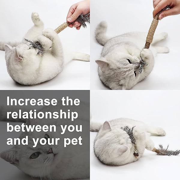 PAZ'S GIFT Paz's Gift Catnip Toy Set for Kittens Interactive Chew and Kicking Stick for Dental Care and Teething 2pcs - View 7 of 10