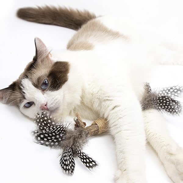 PAZ'S GIFT Paz's Gift Catnip Toy Set for Kittens Interactive Chew and Kicking Stick for Dental Care and Teething 2pcs - View 9 of 10