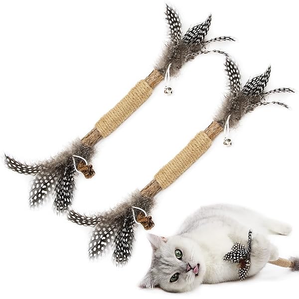 PAZ'S GIFT Paz's Gift Catnip Toy Set for Kittens Interactive Chew and Kicking Stick for Dental Care and Teething 2pcs