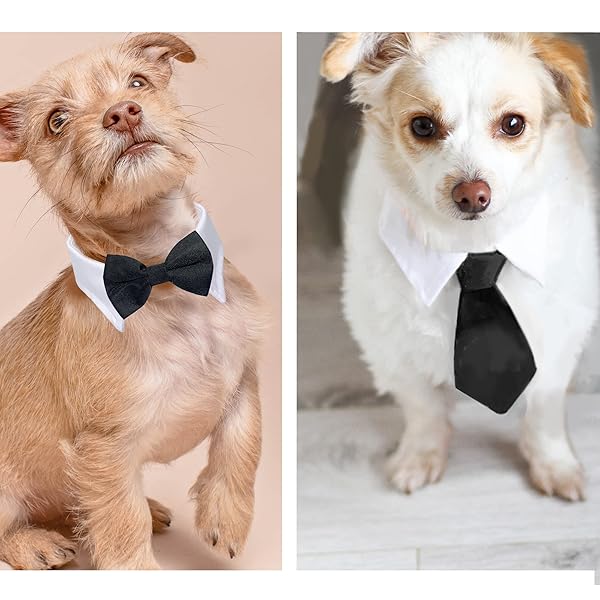 Casidoxi Casidoxi Cat Dog Tuxedo Collar Bow Tie for Pets Perfect for Birthdays Weddings and Easter Adjustable Neck Size 11.4 to 14.2 Inches - View 8 of 8