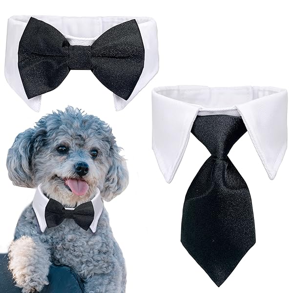 Casidoxi Casidoxi Cat Dog Tuxedo Collar Bow Tie for Pets Perfect for Birthdays Weddings and Easter Adjustable Neck Size 11.4 to 14.2 Inches