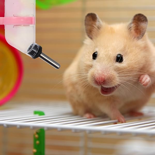balacoo Balacoo 3 Pcs Hamster Water Bottle Non Drip Guinea Pig Drinking Fountain Small Animal Water Dispenser for Hamster Gerbil Chinchillas 60ml - View 10 of 10